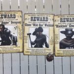 170815 Cedar Point Steel Vengeance Outlaw Signs