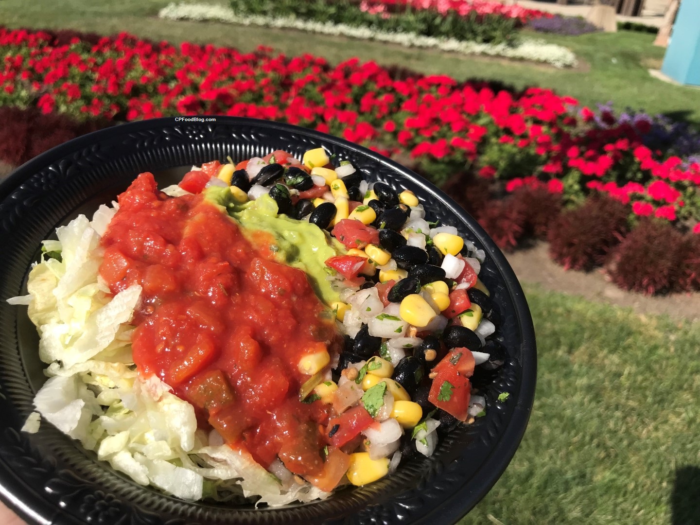 Review: Kings Dominion Border Cafe - CP Food Blog