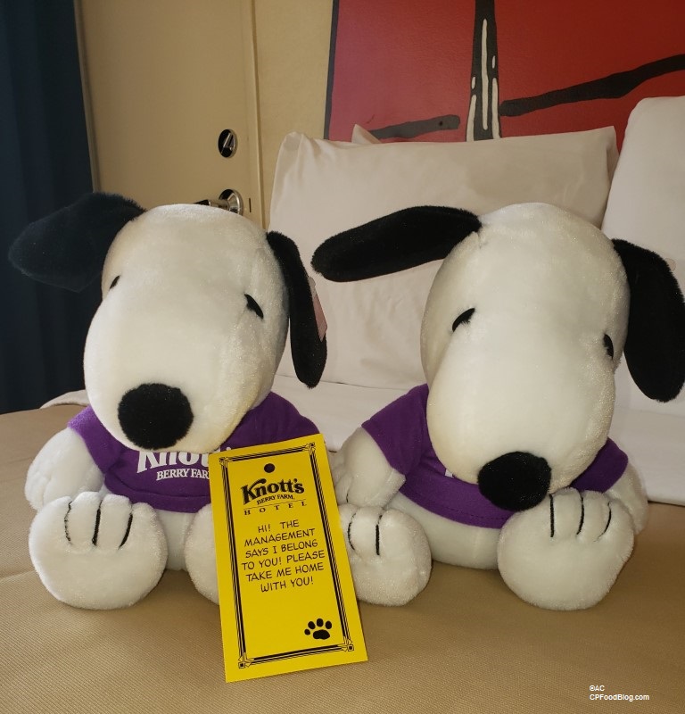 Review: Knott's Berry Farm Hotel Camp Snoopy Rooms - CP Food Blog